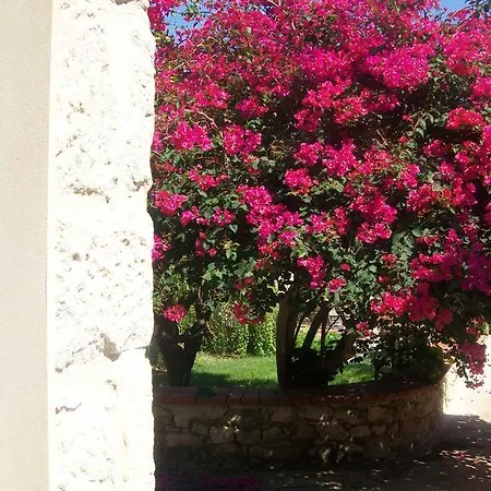 Tenuta Cancaleo Affittacamere Ispica