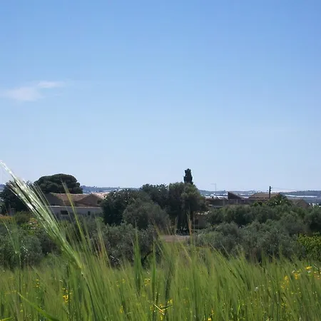 Tenuta Cancaleo