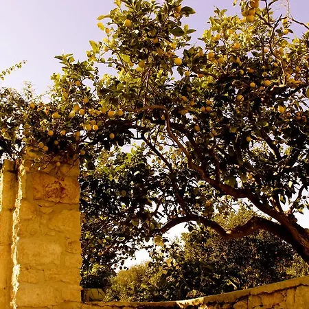 Affittacamere Tenuta Cancaleo