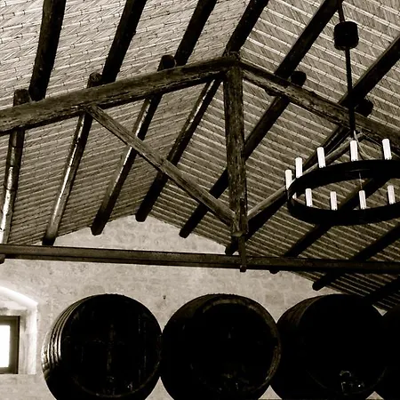 Tenuta Cancaleo 이스피카